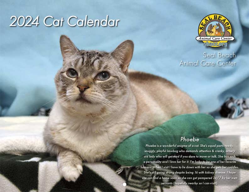 2024%20Cat%20Calendar%20Cover.jpg