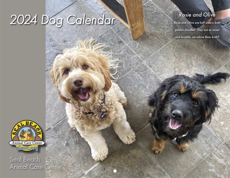 2024%20Dog%20Calendar%20Cover.jpg
