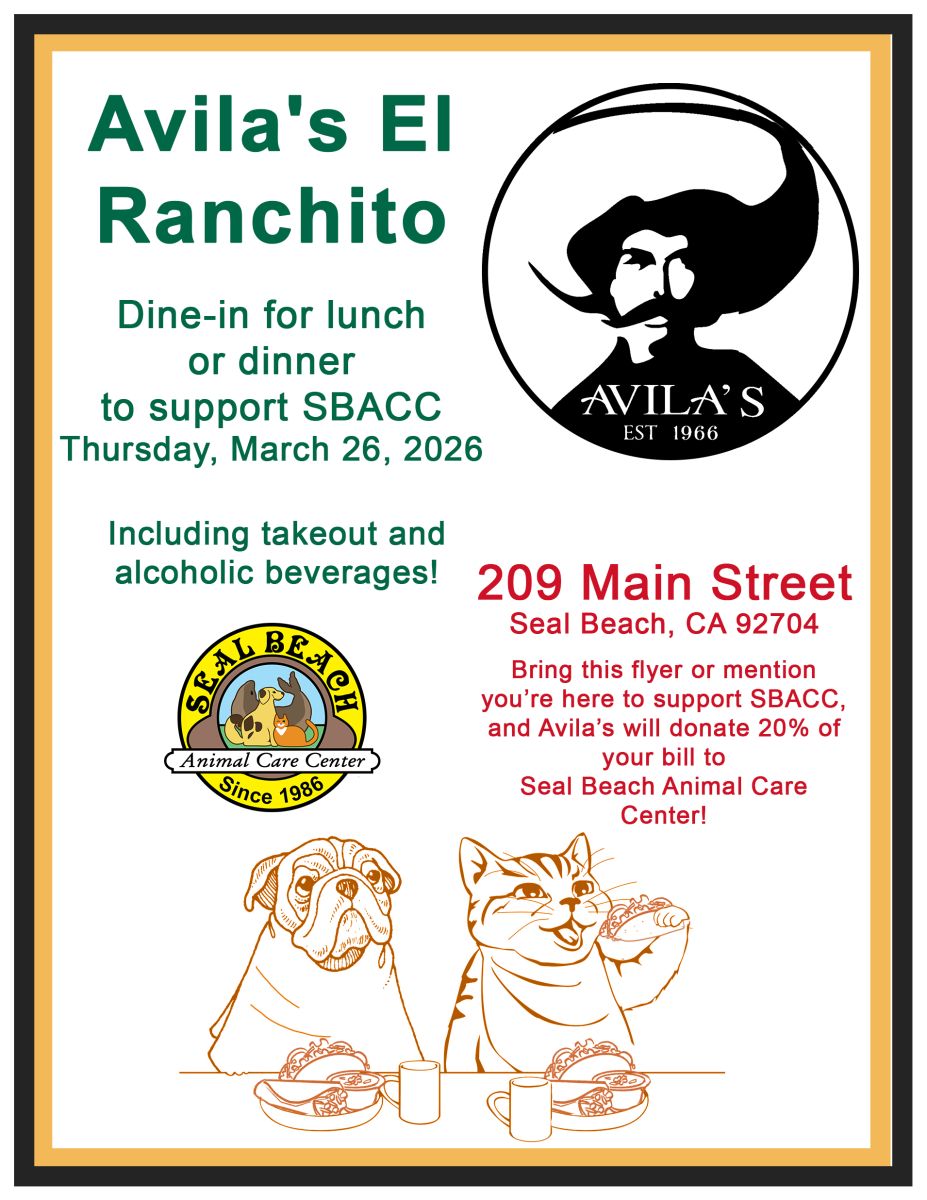 AvilasElRanchito-dineout-2026.jpg